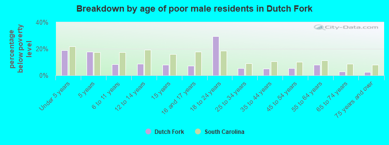 Breakdown by age of poor male residents in Dutch Fork