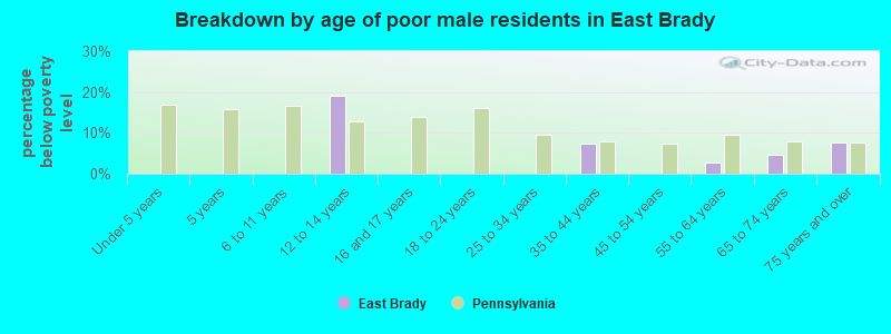 Breakdown by age of poor male residents in East Brady