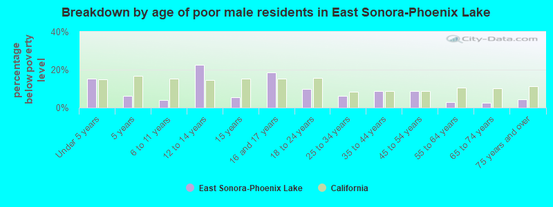 Breakdown by age of poor male residents in East Sonora-Phoenix Lake