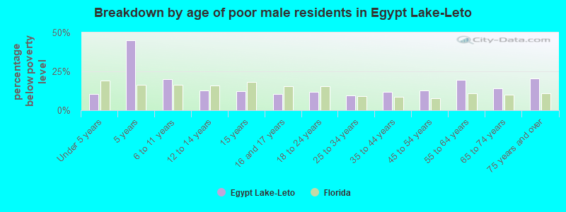 Breakdown by age of poor male residents in Egypt Lake-Leto