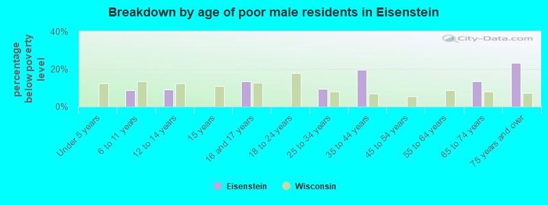 Breakdown by age of poor male residents in Eisenstein