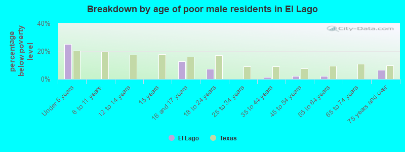 Breakdown by age of poor male residents in El Lago