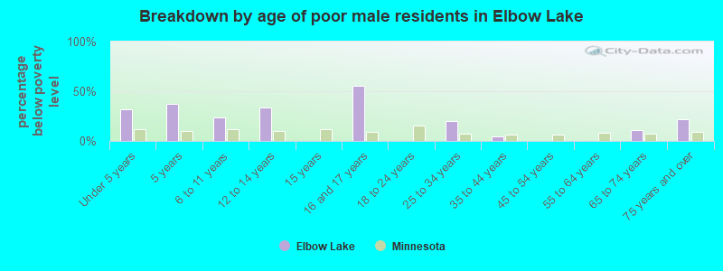Breakdown by age of poor male residents in Elbow Lake
