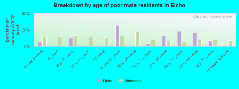 Breakdown by age of poor male residents in Elcho