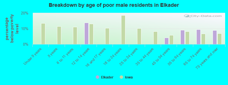 Breakdown by age of poor male residents in Elkader