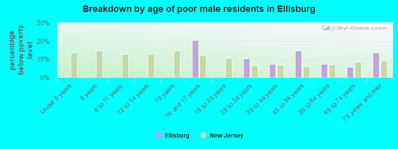 Breakdown by age of poor male residents in Ellisburg