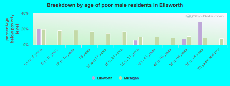 Breakdown by age of poor male residents in Ellsworth