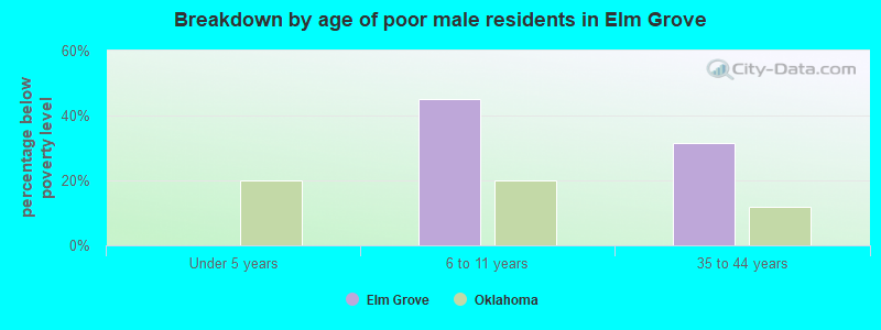 Breakdown by age of poor male residents in Elm Grove