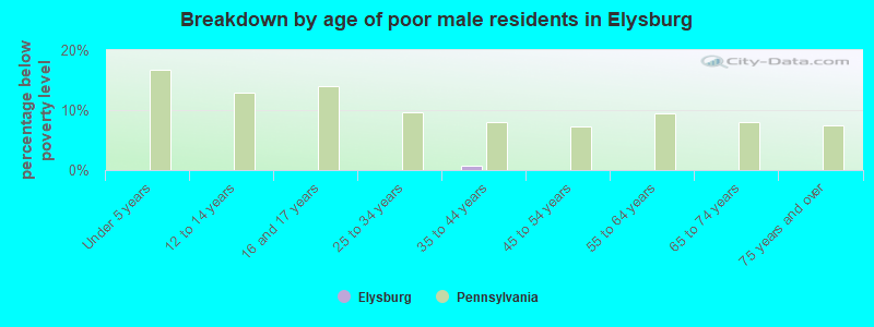 Breakdown by age of poor male residents in Elysburg