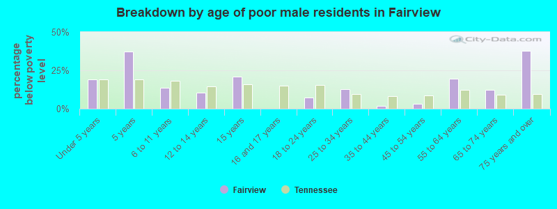 Breakdown by age of poor male residents in Fairview