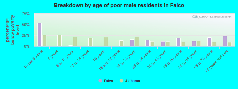 Breakdown by age of poor male residents in Falco