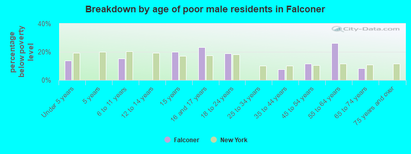 Breakdown by age of poor male residents in Falconer