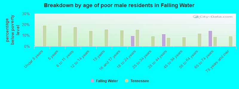 Breakdown by age of poor male residents in Falling Water