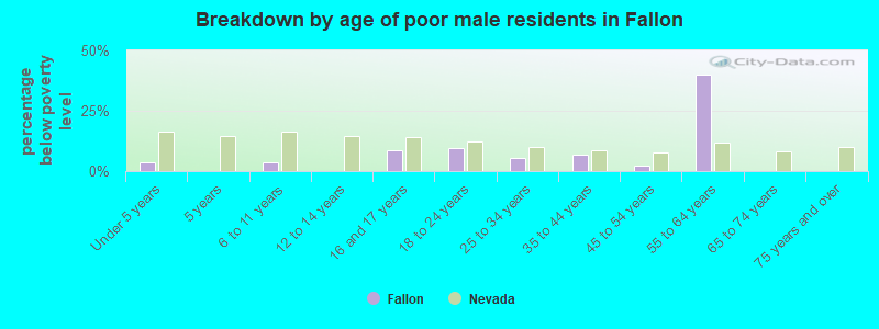 Breakdown by age of poor male residents in Fallon