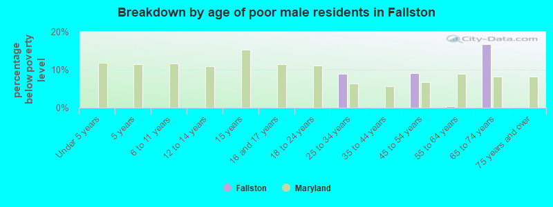 Breakdown by age of poor male residents in Fallston
