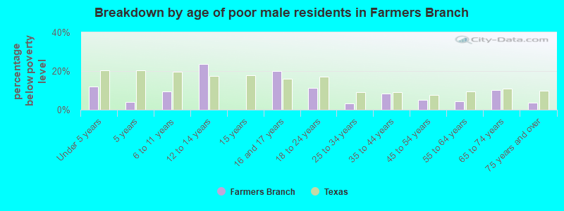 Breakdown by age of poor male residents in Farmers Branch