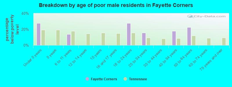 Breakdown by age of poor male residents in Fayette Corners