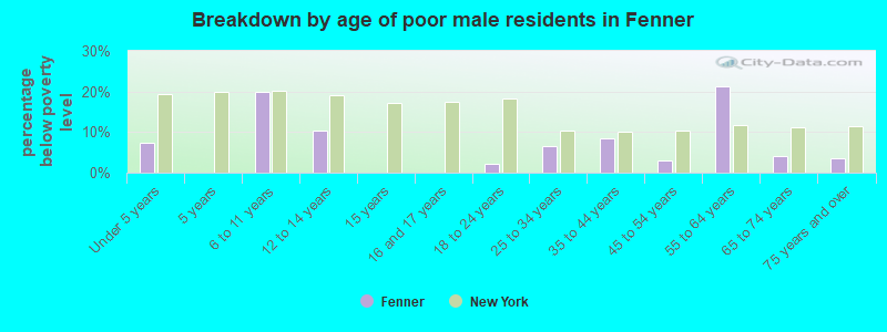 Breakdown by age of poor male residents in Fenner
