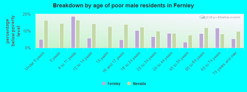 Breakdown by age of poor male residents in Fernley