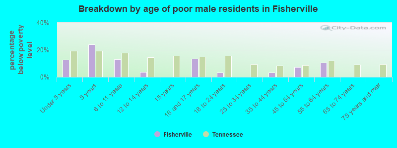 Breakdown by age of poor male residents in Fisherville
