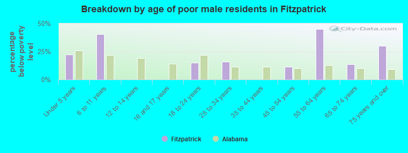 Breakdown by age of poor male residents in Fitzpatrick