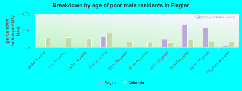 Breakdown by age of poor male residents in Flagler