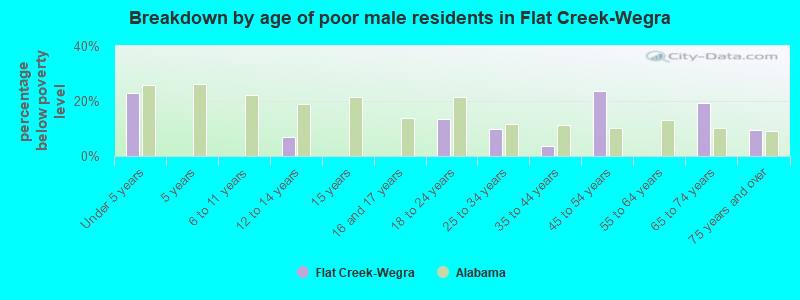 Breakdown by age of poor male residents in Flat Creek-Wegra