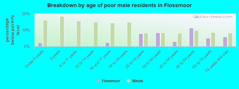 Breakdown by age of poor male residents in Flossmoor