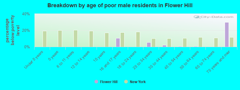 Breakdown by age of poor male residents in Flower Hill