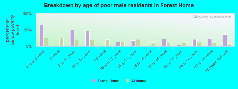 Breakdown by age of poor male residents in Forest Home