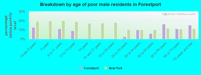 Breakdown by age of poor male residents in Forestport