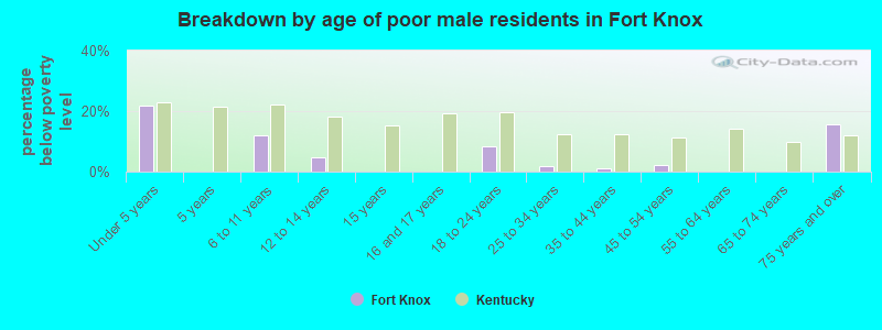 Breakdown by age of poor male residents in Fort Knox