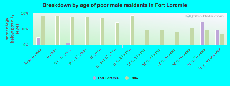 Breakdown by age of poor male residents in Fort Loramie