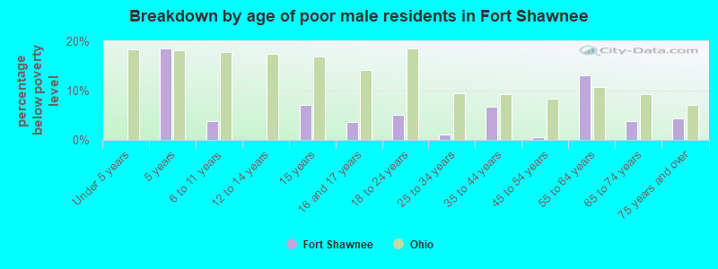 Breakdown by age of poor male residents in Fort Shawnee