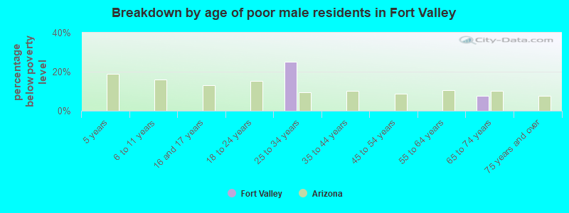Breakdown by age of poor male residents in Fort Valley