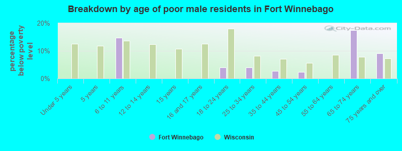 Breakdown by age of poor male residents in Fort Winnebago