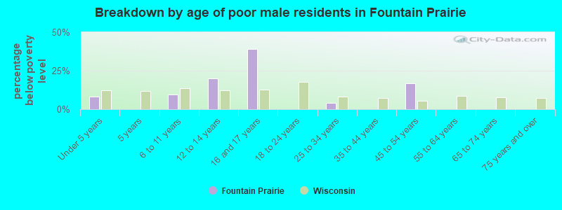 Breakdown by age of poor male residents in Fountain Prairie