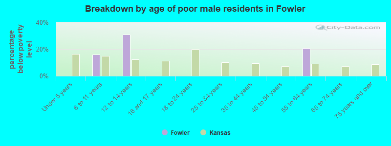 Breakdown by age of poor male residents in Fowler