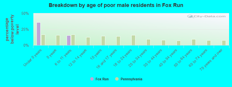 Breakdown by age of poor male residents in Fox Run