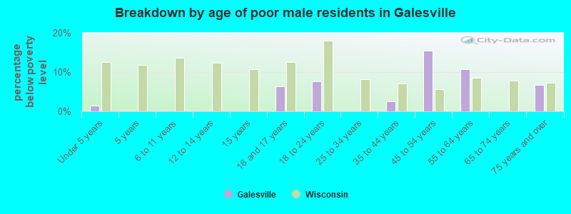 Breakdown by age of poor male residents in Galesville