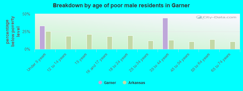 Breakdown by age of poor male residents in Garner