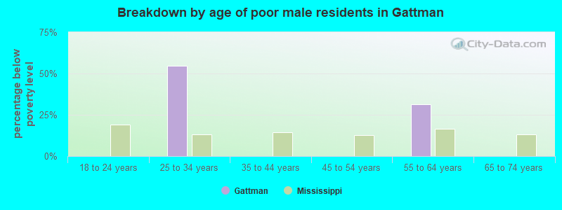 Breakdown by age of poor male residents in Gattman