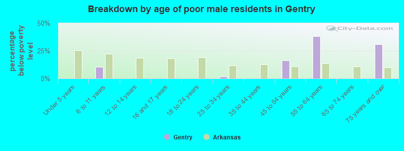 Breakdown by age of poor male residents in Gentry