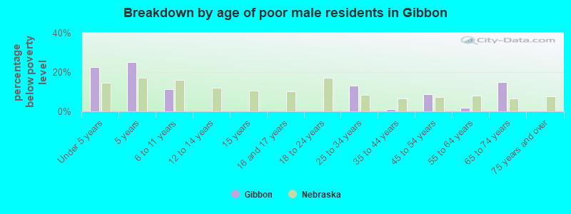 Breakdown by age of poor male residents in Gibbon