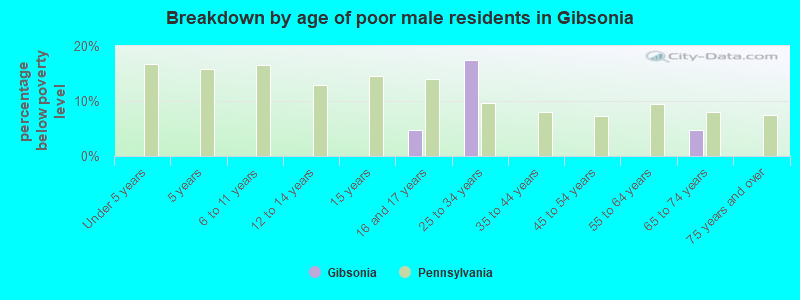 Breakdown by age of poor male residents in Gibsonia