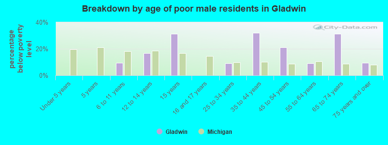 Breakdown by age of poor male residents in Gladwin