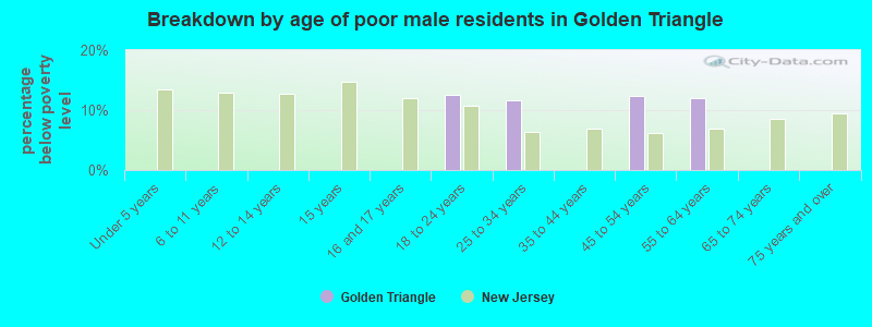Breakdown by age of poor male residents in Golden Triangle