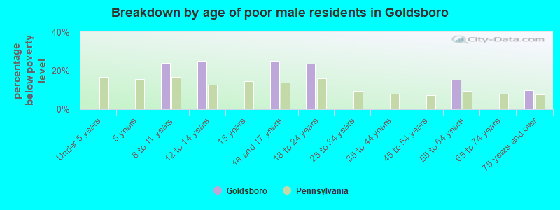 Breakdown by age of poor male residents in Goldsboro