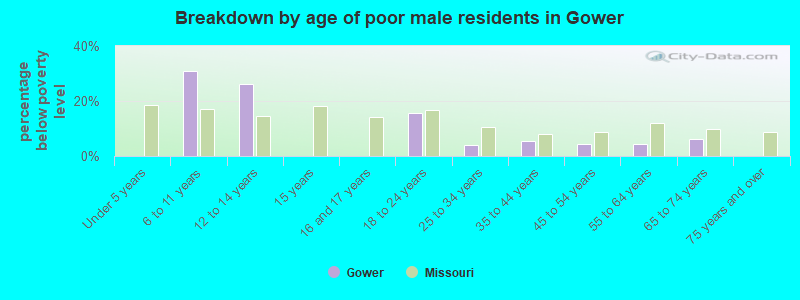Breakdown by age of poor male residents in Gower