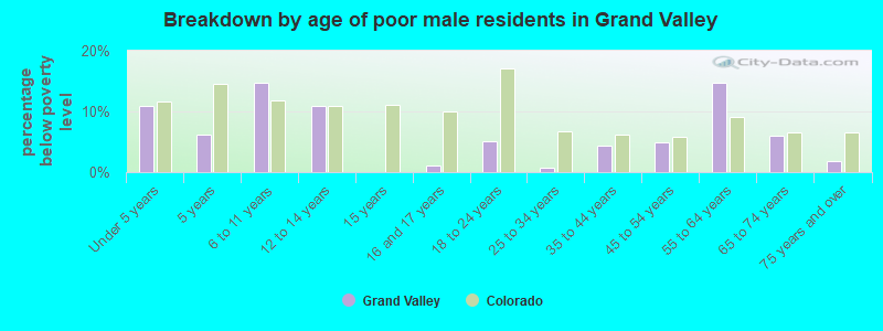 Breakdown by age of poor male residents in Grand Valley